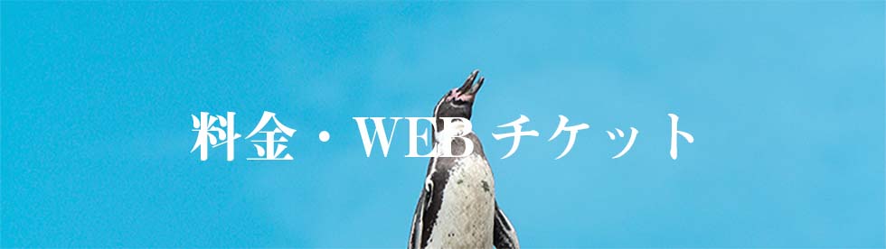 料金・WEBチケットページ