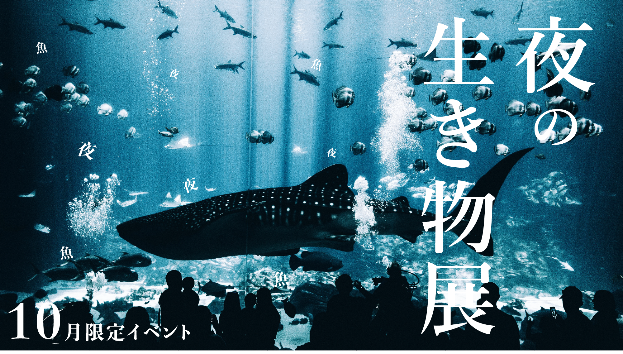 夜の生き物展へようこそ。ここは、魚たちが生きる夜の海を再現し、その生態を覗いてもらうイベントです。