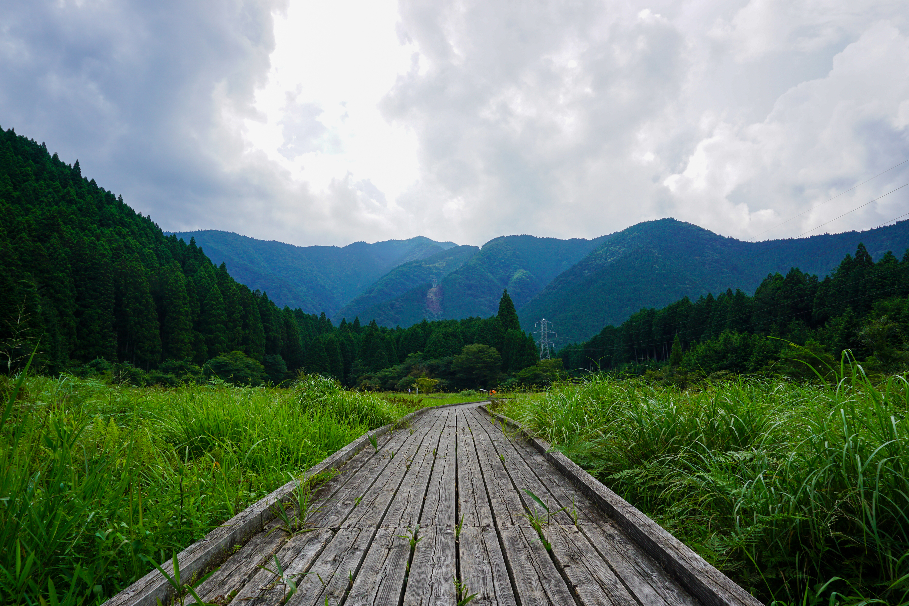 Yamanashi