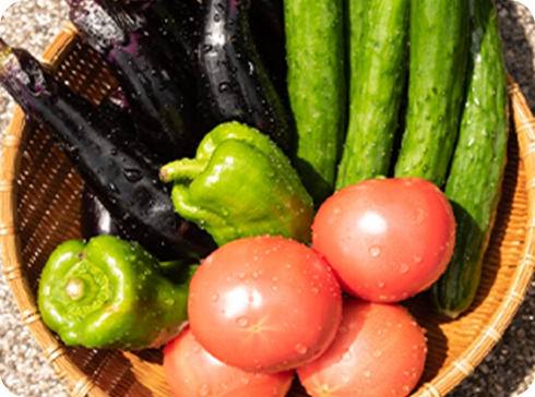 【くちぶえ農園】旬＊お試し野菜セット(6品目)の内容イメージ画像