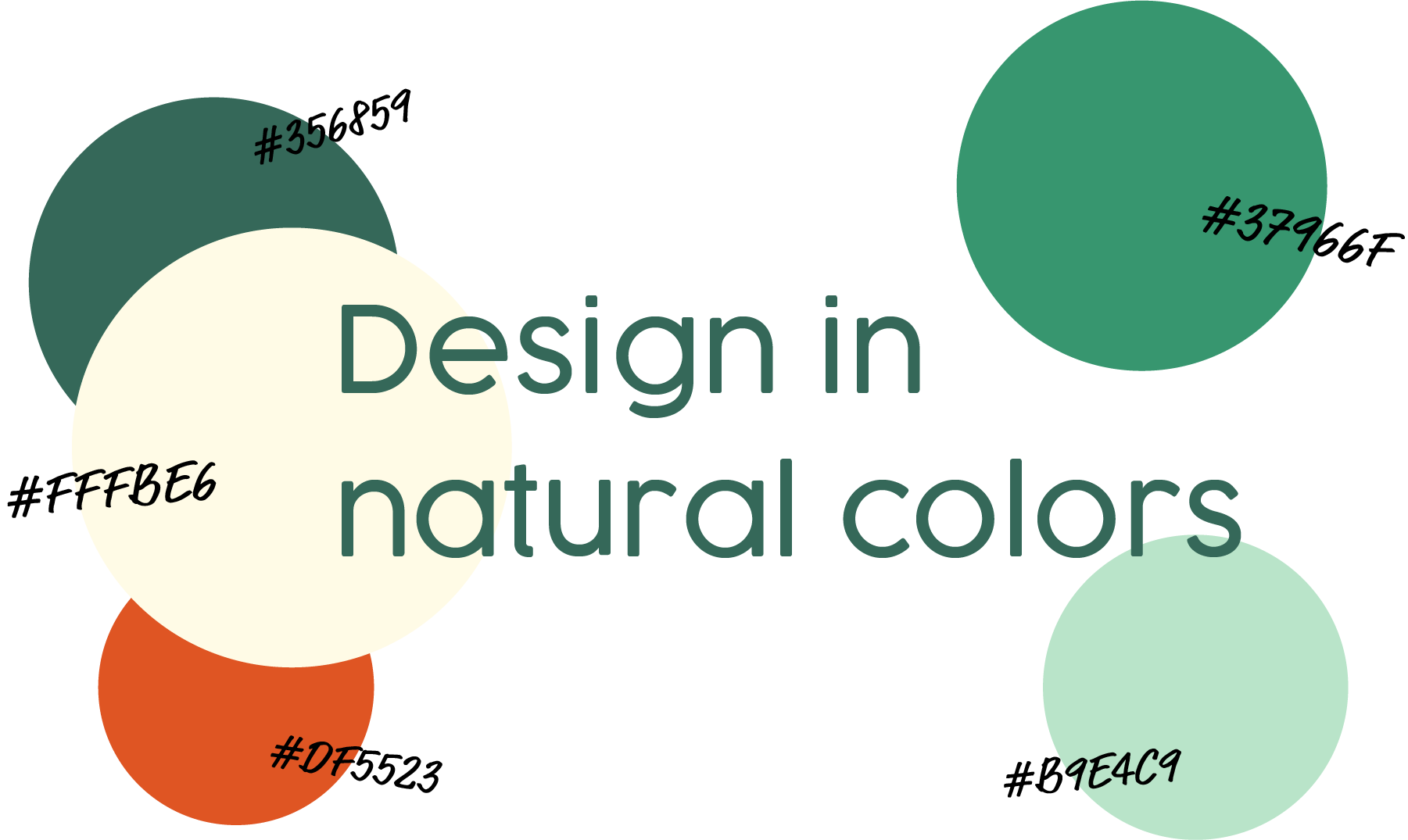 color palette