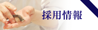 採用情報